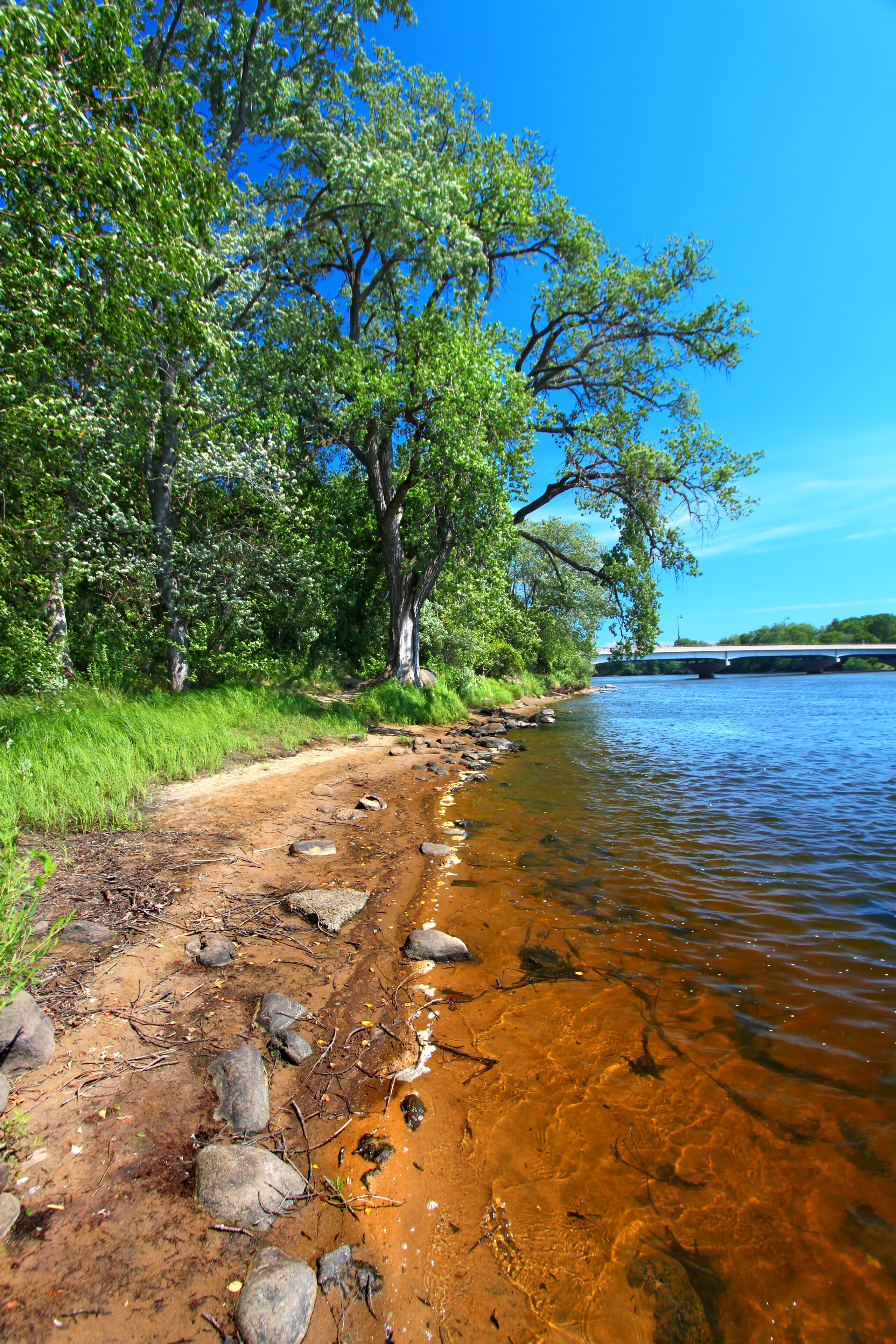 Wisconsin River Landscape Portage