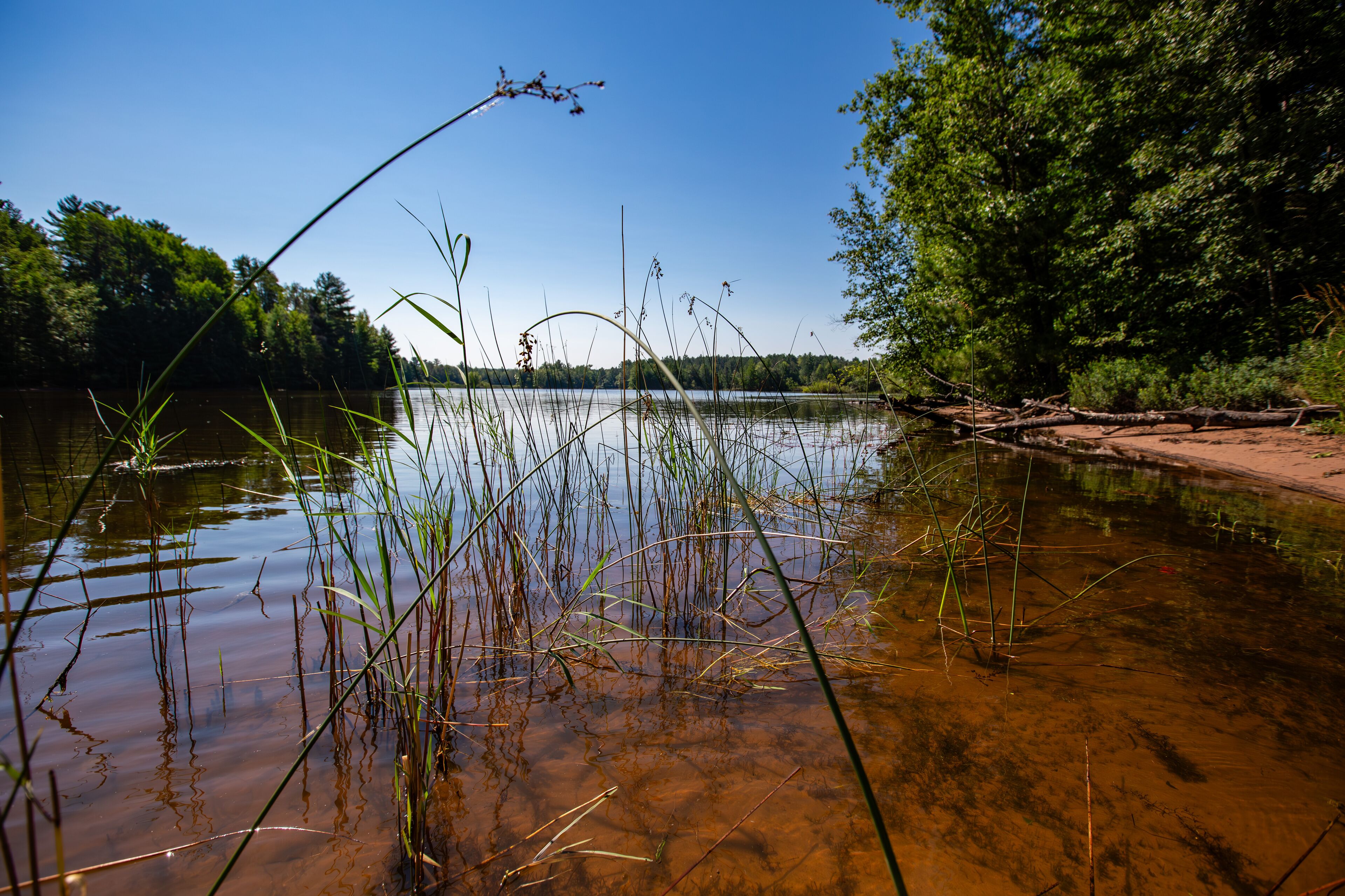 Lake Nokomis in Tomahawk, Wisconsin in the summer