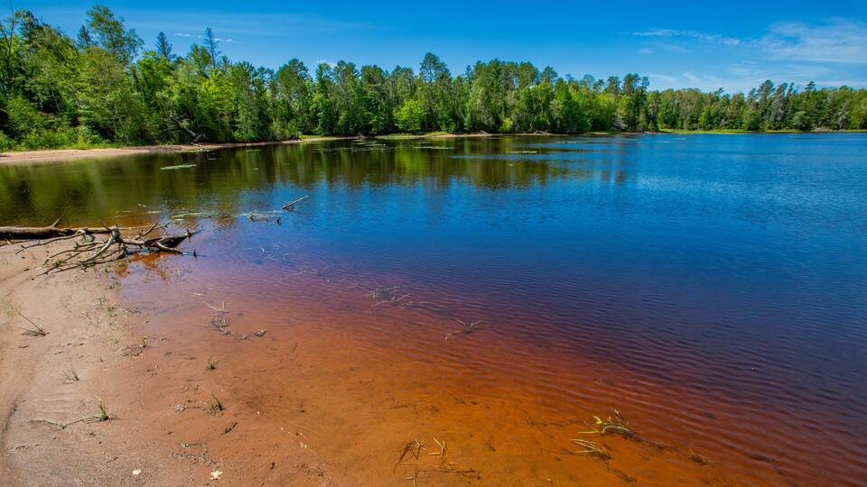 A calm lake with clear water reflecting the sky, surrounded by dense green forest.