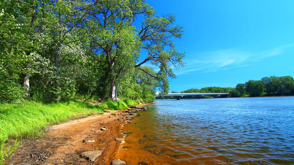 A riverbank with a bridge in the background.