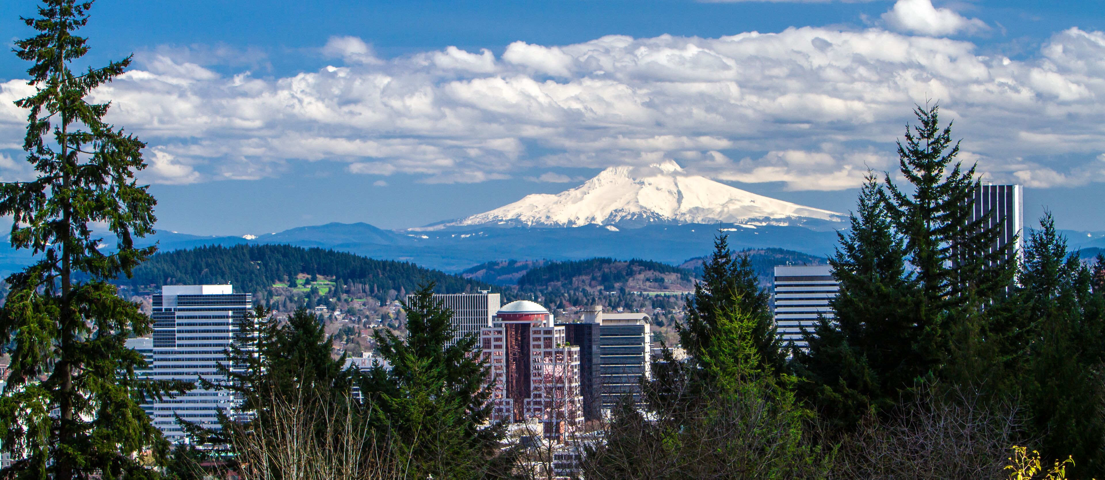 Portland, Oregon;  View of snow covered Mt Hood and buildings in downtown Portland, Oregon