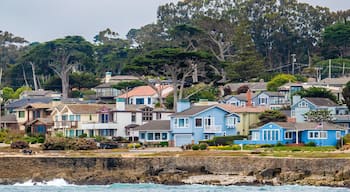 Houses in Pacific Grove, California