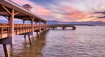 Trung tâm St. Simons Island