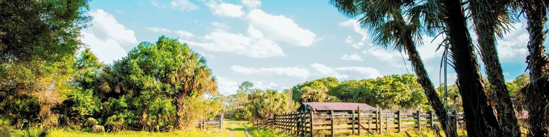take you back to old Florida great place to visit with your family also next to the first solar city in USA Babcock Ranch Realestate