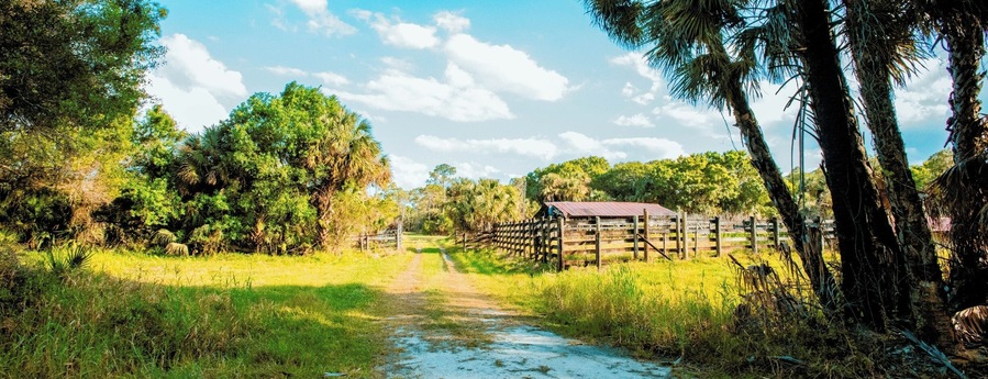 take you back to old Florida great place to visit with your family also next to the first solar city in USA Babcock Ranch Realestate
