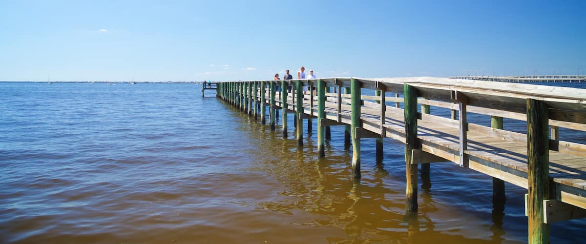 Punta Gorda showing general coastal views