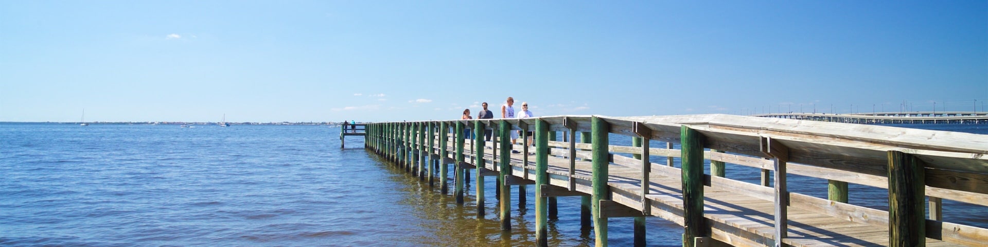 Punta Gorda showing general coastal views