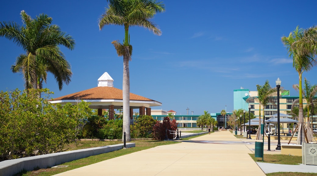 Punta Gorda featuring a garden