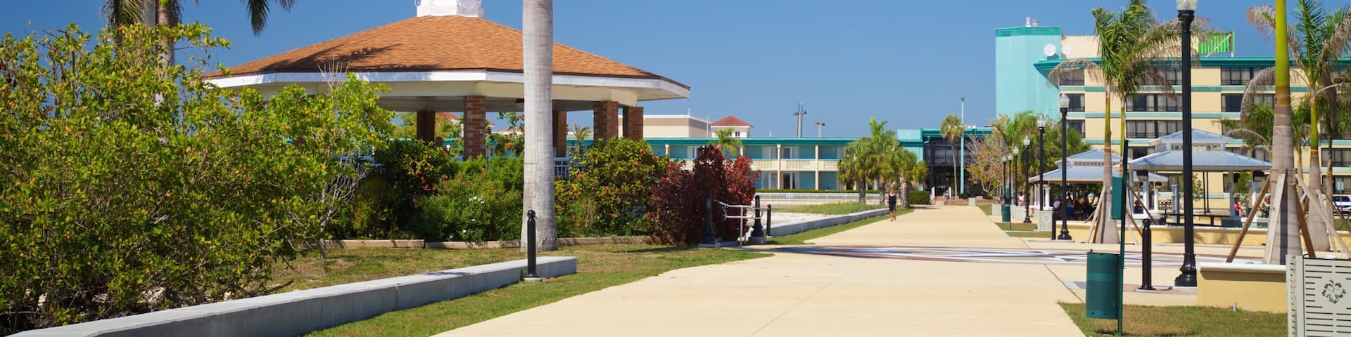 Punta Gorda featuring a garden