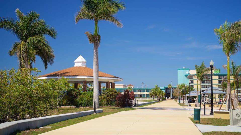 A pathway lined with palm trees and a building with a red roof.