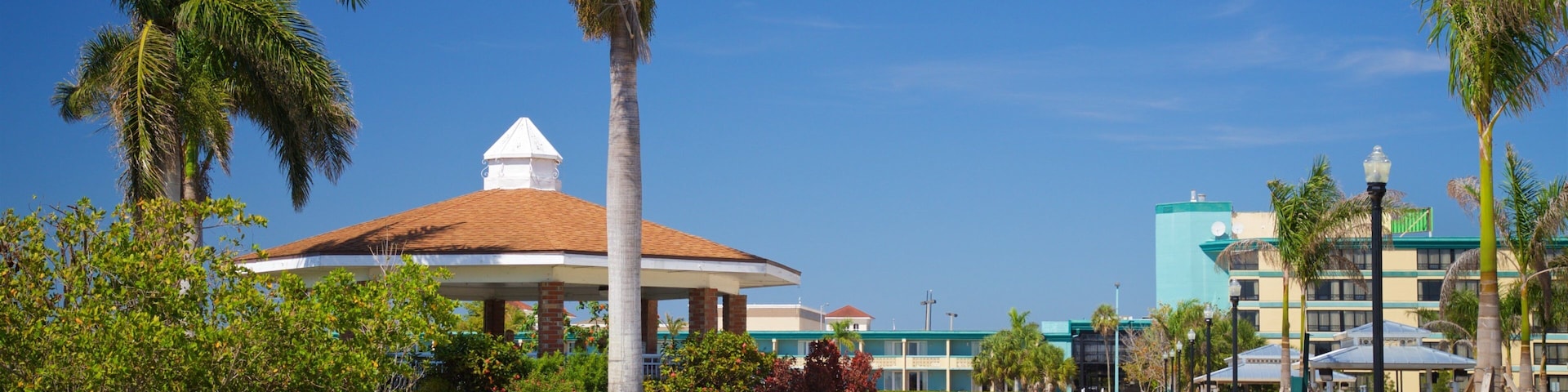 Punta Gorda featuring a garden