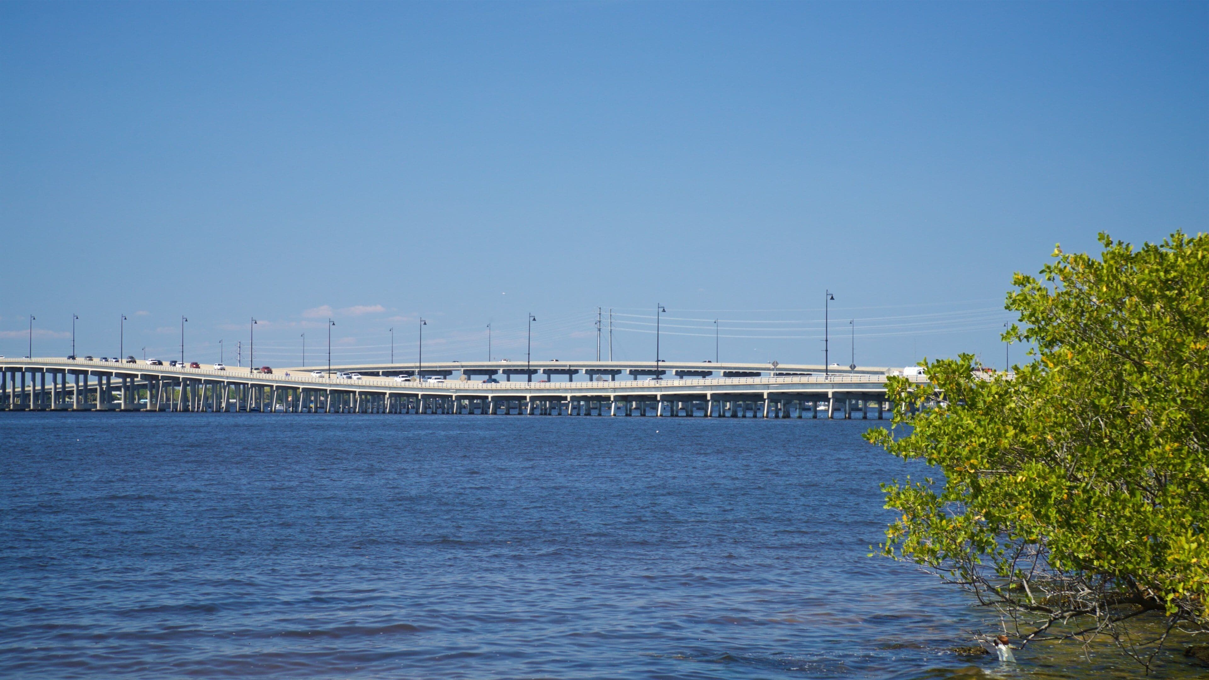 Punta Gorda showing a bridge and a river or creek