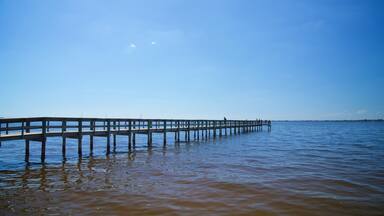 Punta Gorda featuring general coastal views