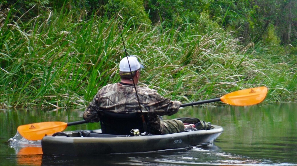 Shell Creek is a glimpse of historic Florida rivers