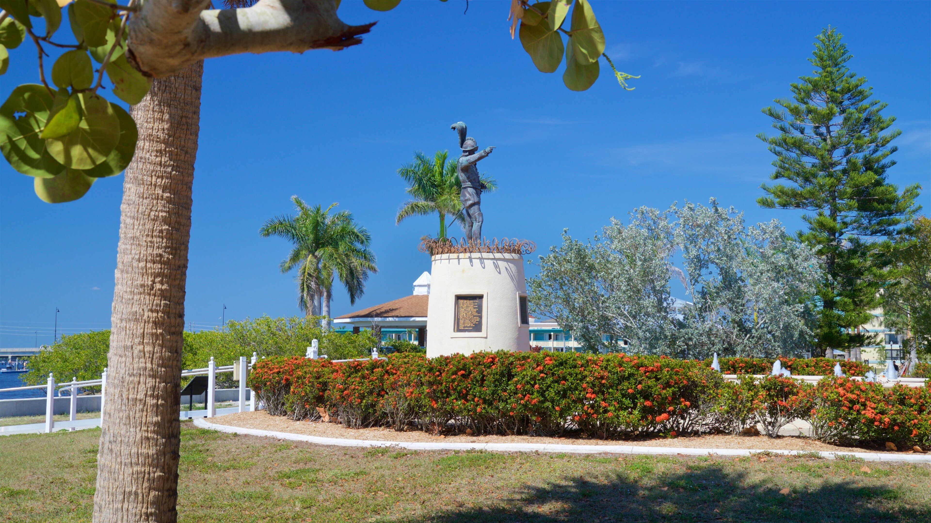 Punta Gorda showing wildflowers and a garden