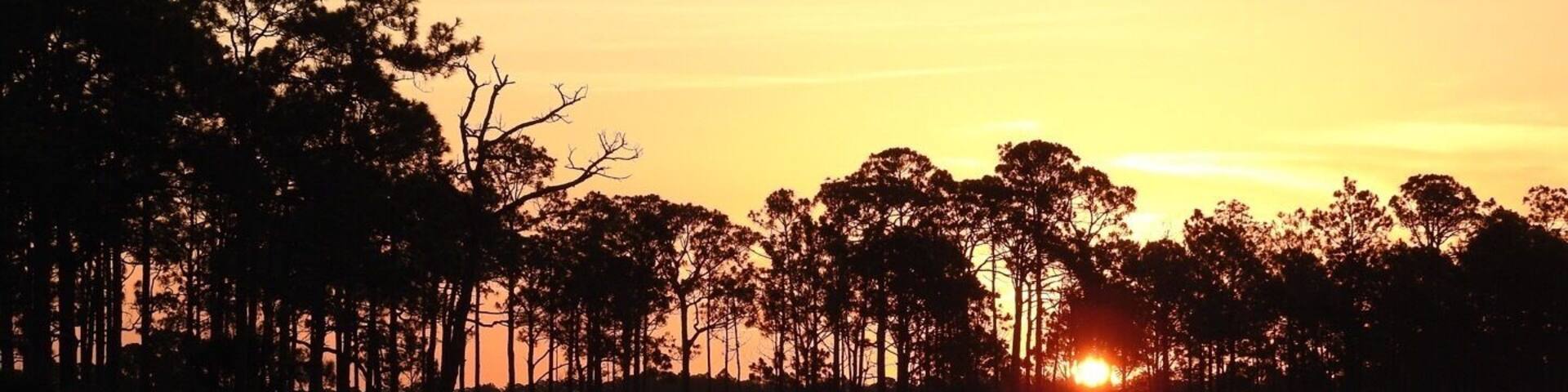 Beautiful sunrise in Southwest Florida