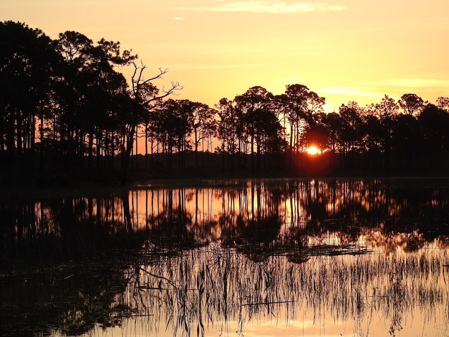 Beautiful sunrise in Southwest Florida