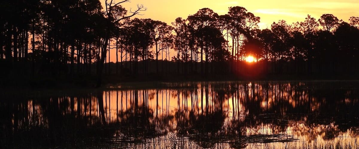 A sunset over a lake with trees silhouetted against the sky.