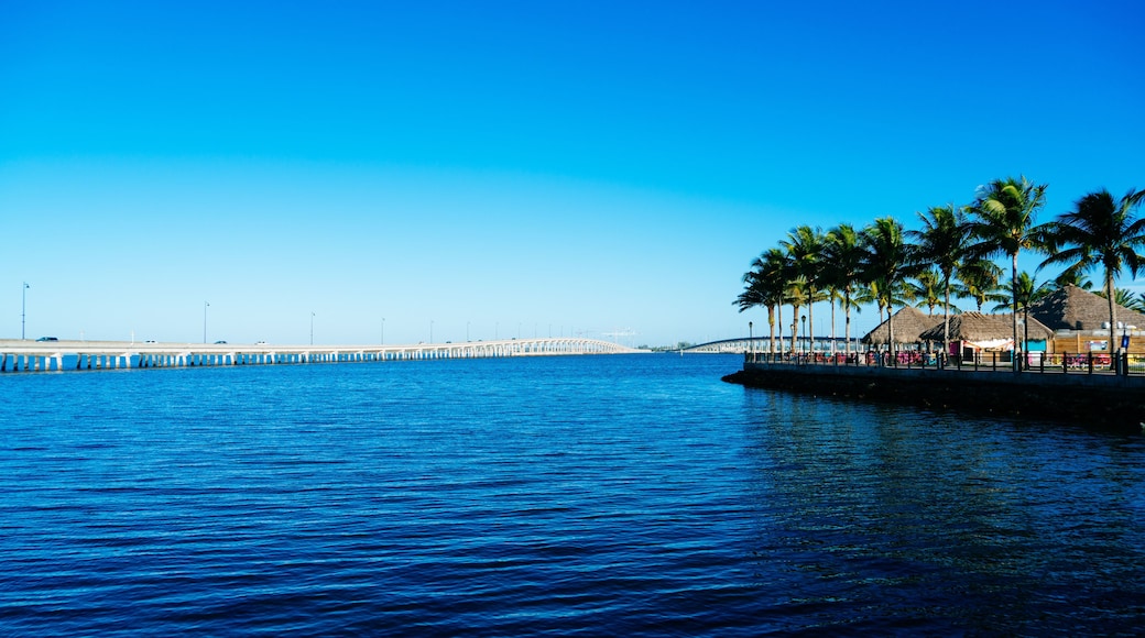 Downtown Punta Gorda