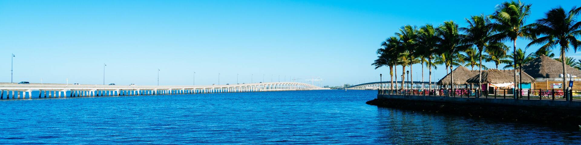 A waterfront with palm trees and a pier extending into the water.