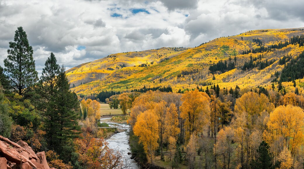ダウンタウン・パゴサ・スプリングス