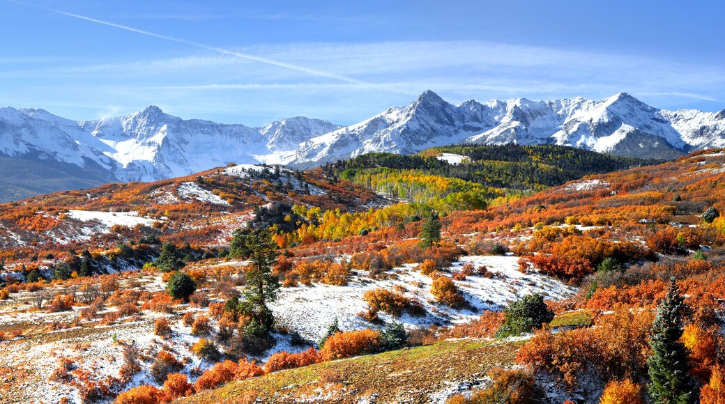 ダウンタウン・パゴサ・スプリングス
