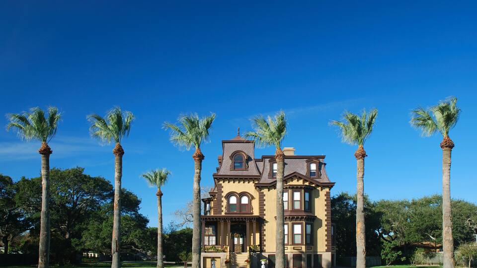 The mansion and palm trees look like a winter retreat.