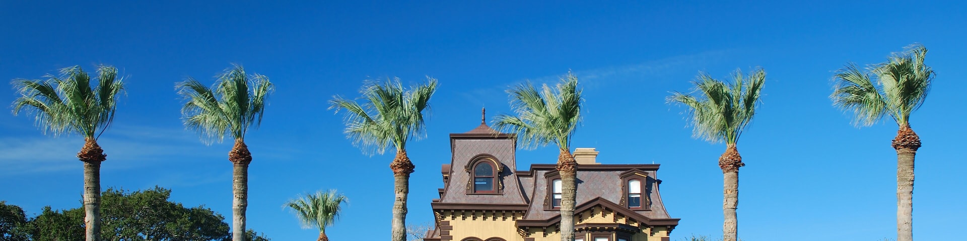 The mansion and palm trees look like a winter retreat.