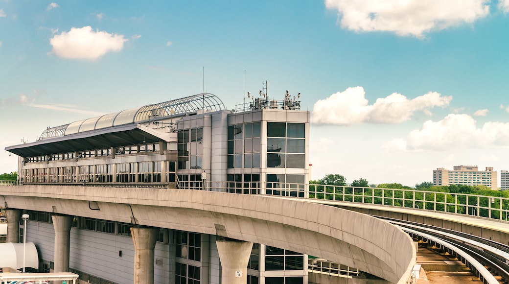 Centro de Jamaica