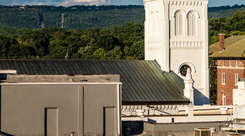 เขตประวัติศาสตร์ทวิคเคนแฮม