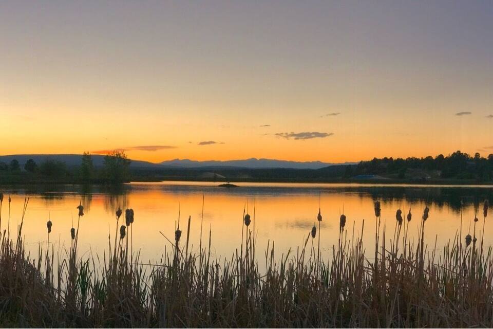 A sunset over a calm lake with reeds in the foreground and mountains in the background.
