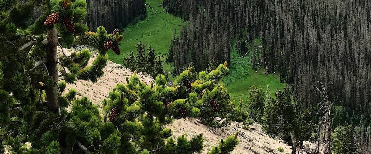 9 mile hike on the C.D. Trail... knock your socks off views.