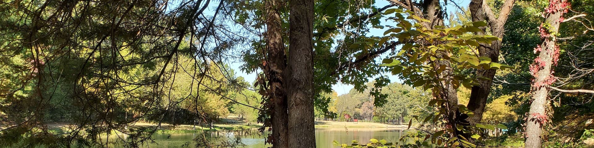 Lake Ponder Trail, Crowley's Ridge State Park, Greene County, Arkansas