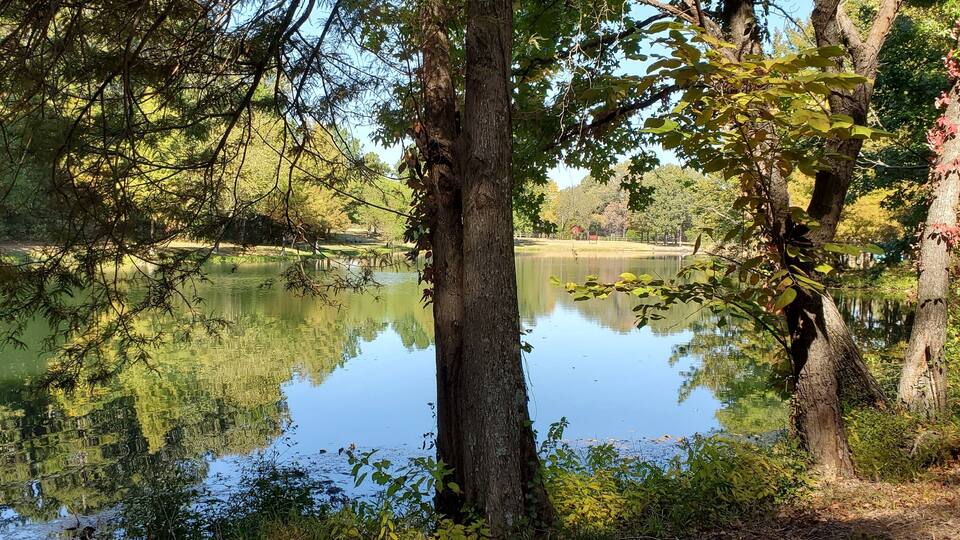 A calm lake surrounded by trees and a golf course in the background.