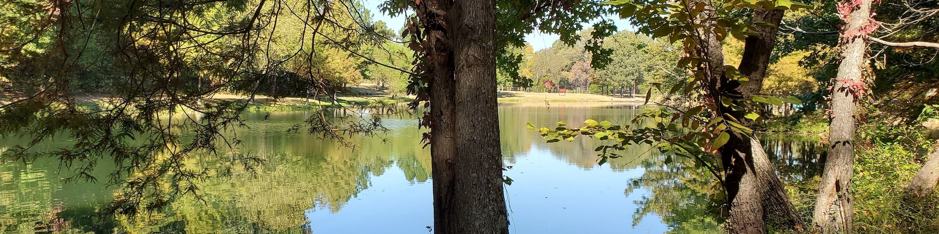 Lake Ponder Trail, Crowley's Ridge State Park, Greene County, Arkansas
