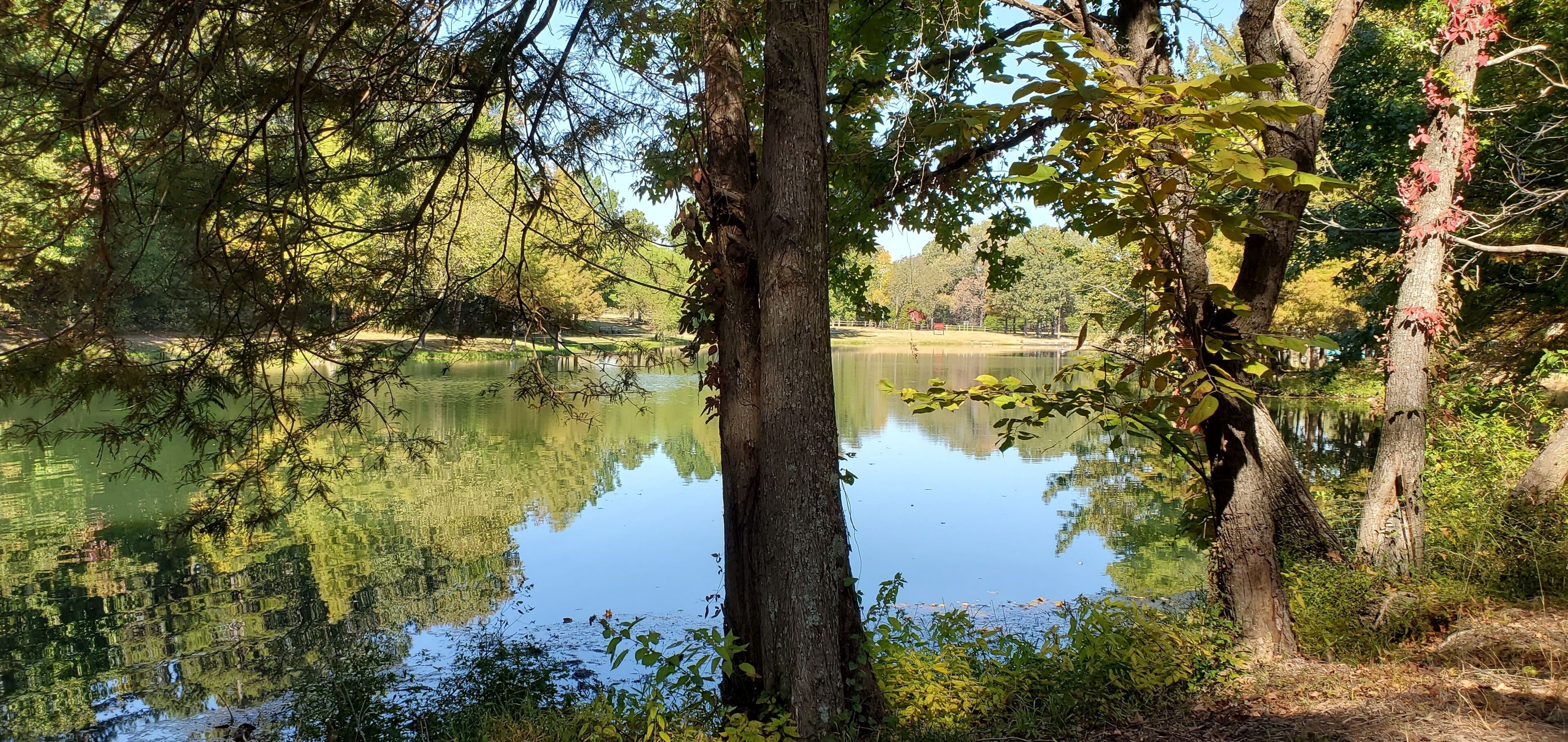 A calm lake surrounded by trees and a golf course in the background.