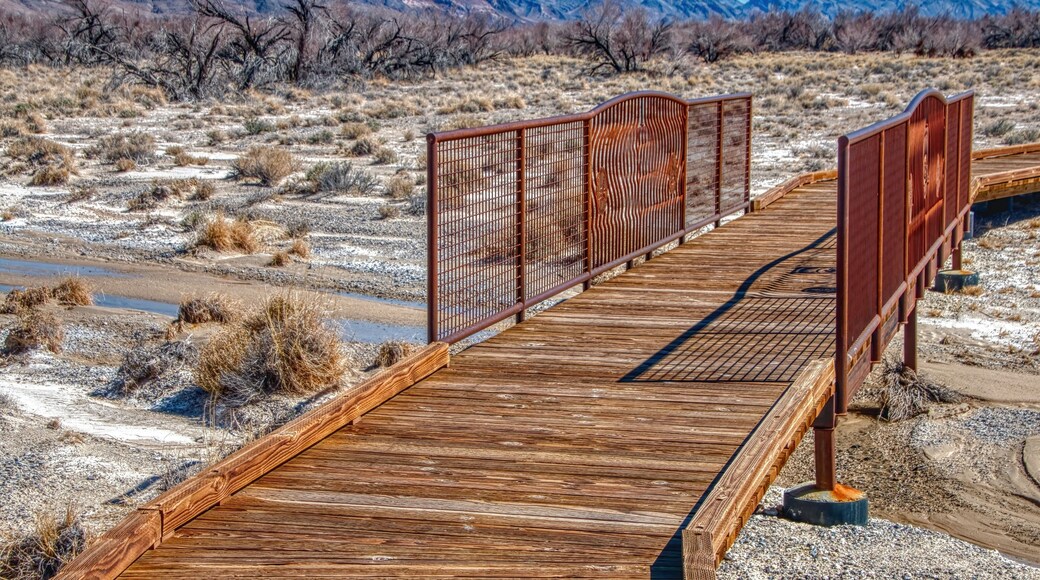 Pahrump