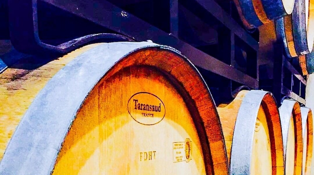 Fun day date! About an hour outside of Las Vegas is Pahrump. There's a quaint winery there where you can sample all kinds of delicious wines and take a tour. There are some grapes that are planted near a eucalyptus tree so the wine is infused with a eucalyptus flavor. #winery #pahrumpvalley #likealocal