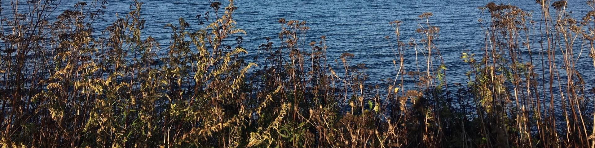 At 6 lot campground at Naval Station in Newport, Rhode Island.
#RhodeIsland
(Oct 2017)