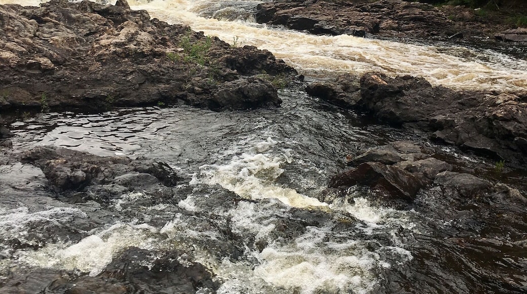 #aquatrove hike and swim!