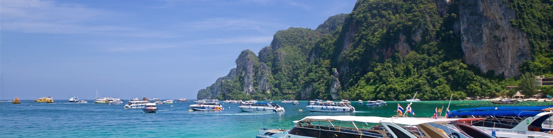 Ko Phi Phi which includes general coastal views, mountains and tropical scenes