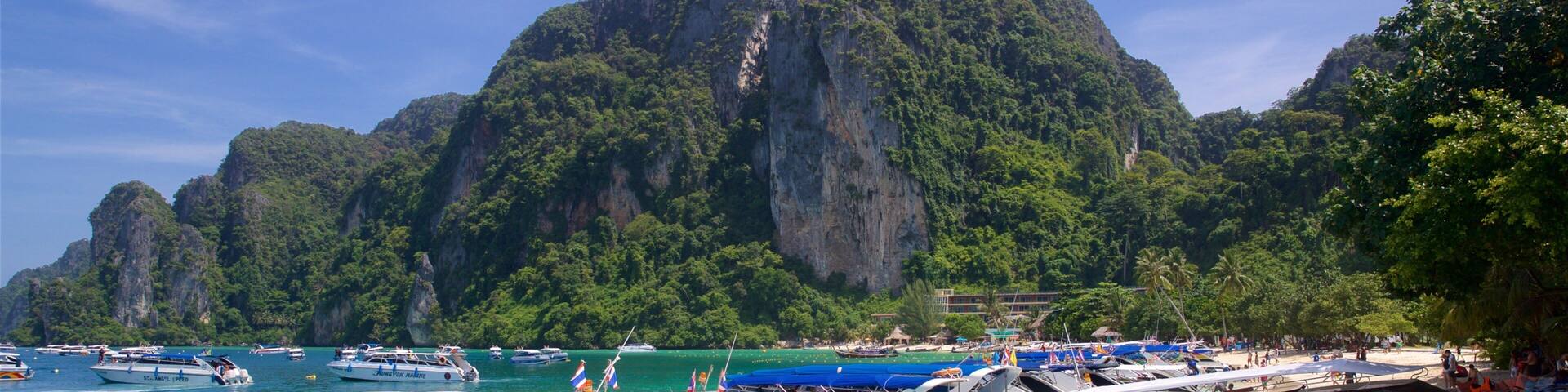 Ko Phi Phi presenterar kustutsikter, en hamn eller havsbukt och tropisk natur