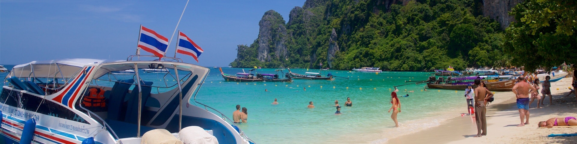 Ko Phi Phi featuring rugged coastline, a beach and swimming