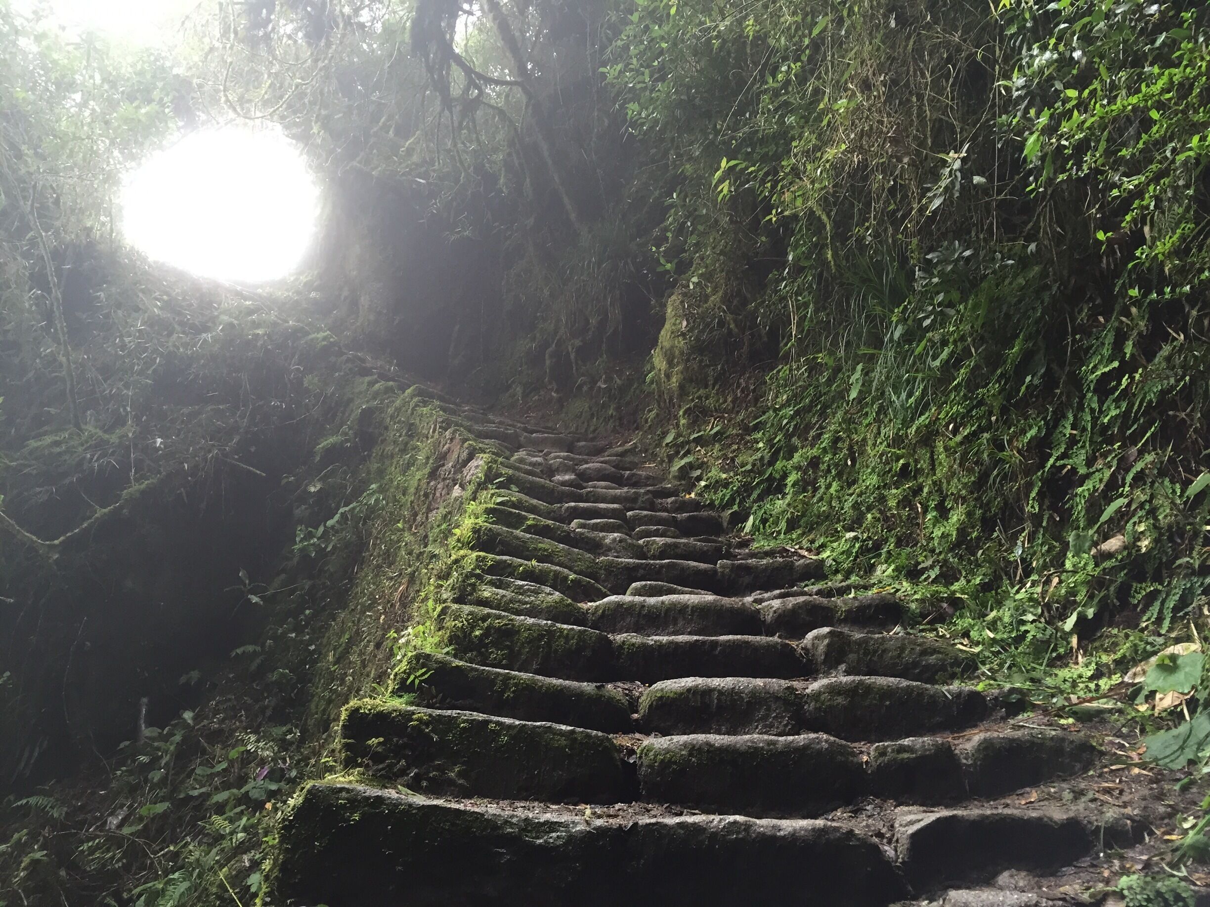 Here's a magic moment on the inca trail from Cuzco to Machu Picchu.  This is day 3, the "charming" day of the 4 day hike.  Light at the end of the journey... Almost there! 

#CaminoInca #Inca #Peru #machupicchu