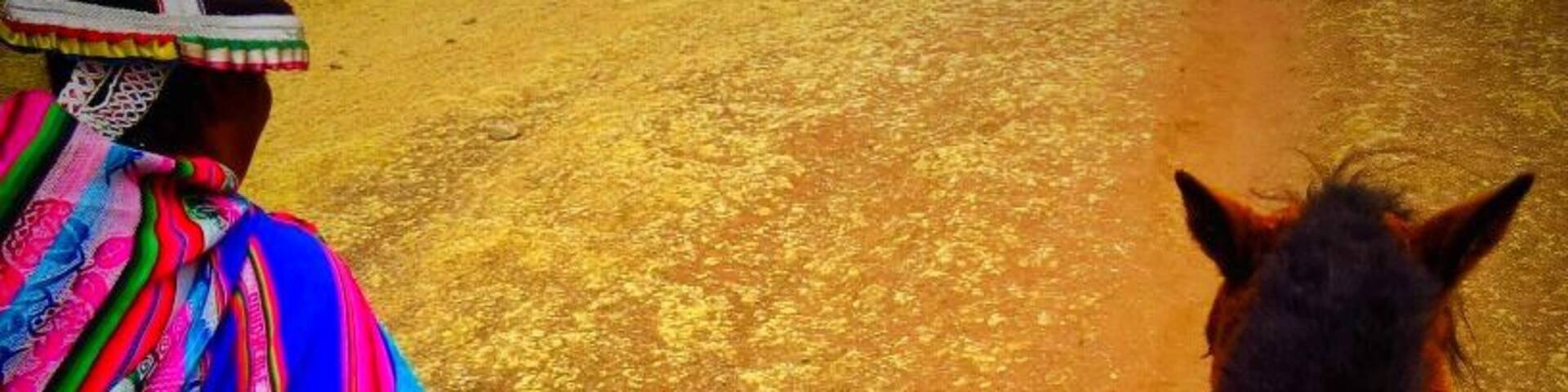 Montaña de colores
It's hard to get there, more than 5.000 meter high, cold and snowy. But if you like tracking it's a unique place. You can see 7 different colors on the ground. Caused by different layers of the geological formation.
#Rediscover
#cultural
1aviagem.com
#1aviagem
#Peru
#rainbowmountains