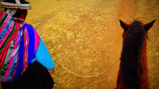 Montaña de colores
It's hard to get there, more than 5.000 meter high, cold and snowy. But if you like tracking it's a unique place. You can see 7 different colors on the ground. Caused by different layers of the geological formation.
#Rediscover
#cultural
1aviagem.com
#1aviagem
#Peru
#rainbowmountains