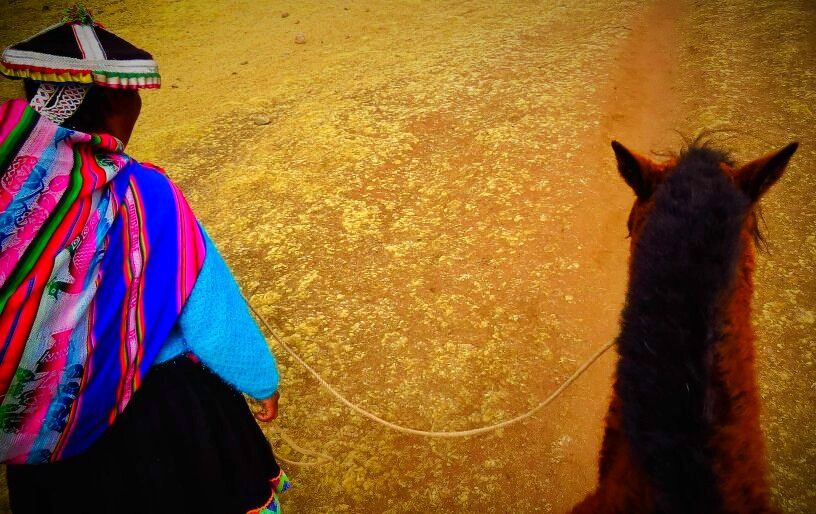 A person in colorful traditional attire walking a llama on a golden sandy path.