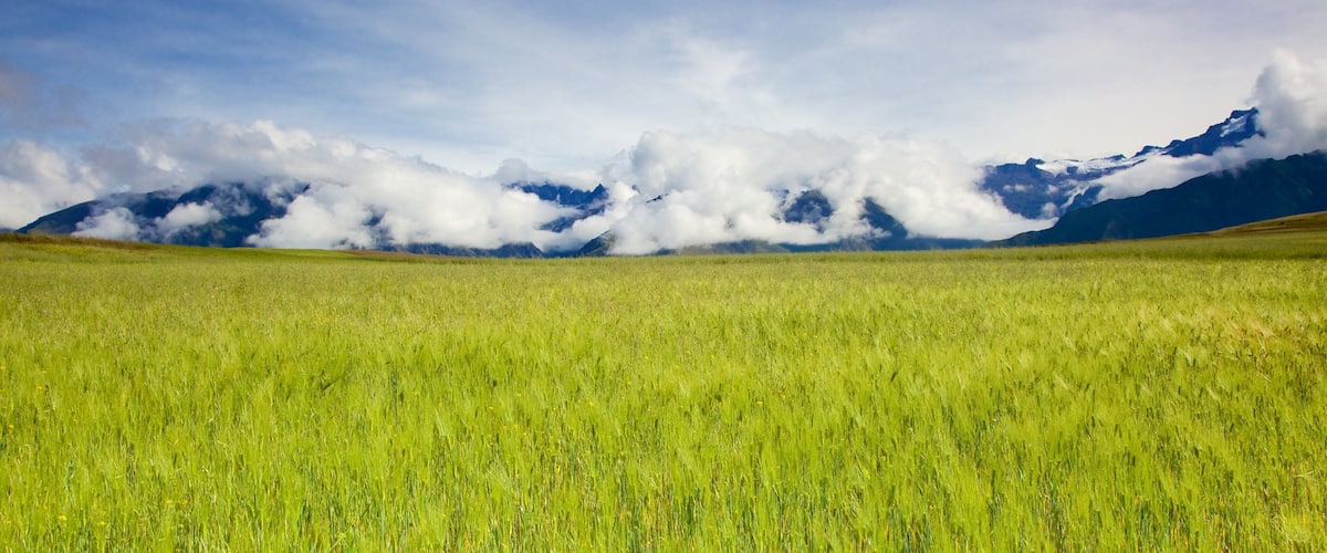 Cusco which includes tranquil scenes and landscape views
