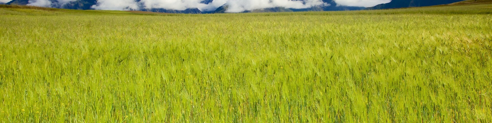 Cusco which includes tranquil scenes and landscape views