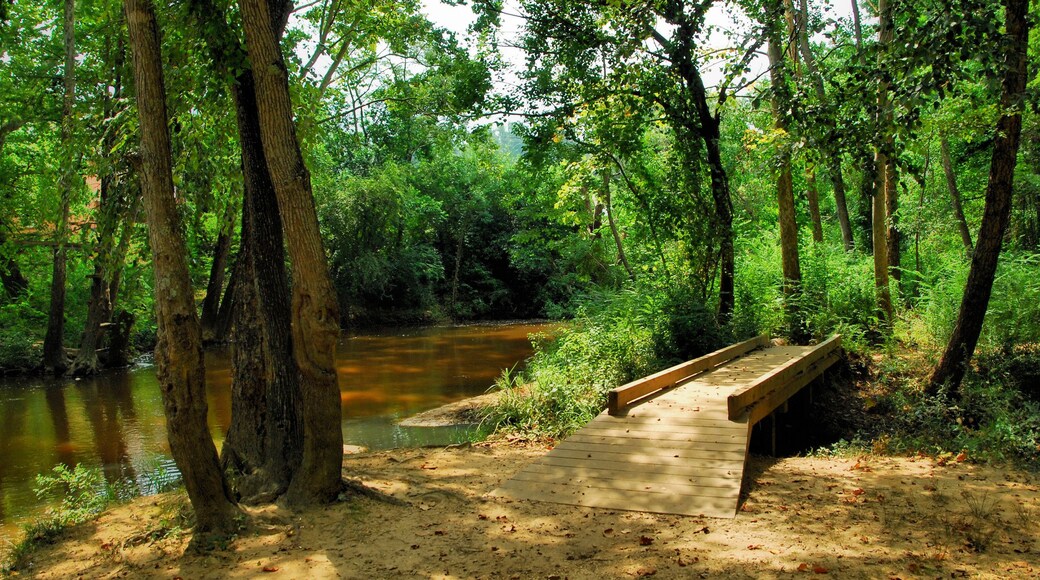 Autauga Creek / Autauga Creek near Prattville, Alabama